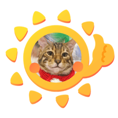 Hug Cat emoji – Emotikon LINE | LINE STORE