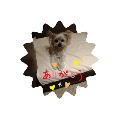 kuu_20220503152426