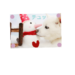 *.. see ..*