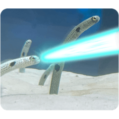 meifan_20220503173250