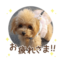 Daichi_20220503173823