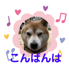 tomomi_20220503190805