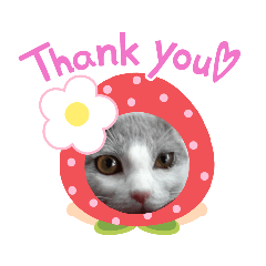 nobsan_20220503202723