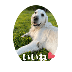 Keiko Katagiri_20220503210127