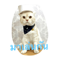 mango catmad