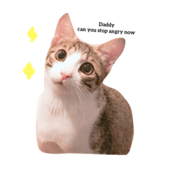 白爛天一的日常