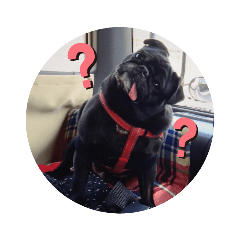 natsumi_20220503234745