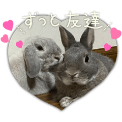 luv_rabbit