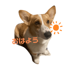 RINA_20220504000258