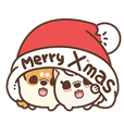 米犬日常 - 聖誕跨年特輯