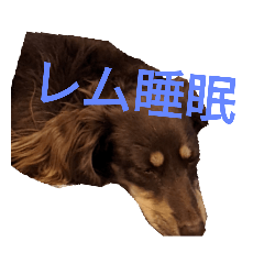 abcdefg_20220504092532