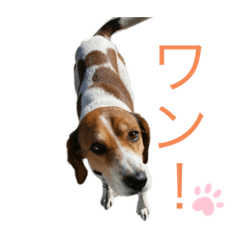 Smile_20220504101405