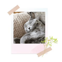 hikari_20220504075115