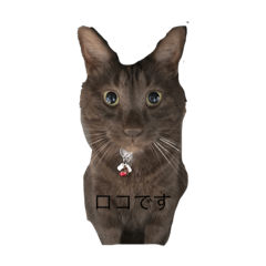 Smile_20220503223155