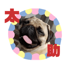 ayumi_20220504084747