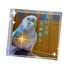 moyachi_20220504125242
