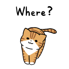 Red tabby and white cats 3(English)