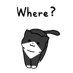 Black bicolor cat sticker 3 (English)