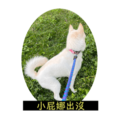 娜娜❤️生活日常1