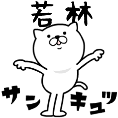 Pretty kitten WAKABAYASHI Sticker [MOVE]
