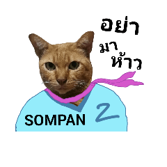 Sompan,The Moody Cat.