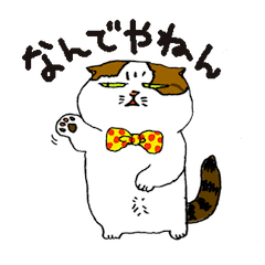 町田尚子の猫スタンプ 白木ピッピ 大阪弁