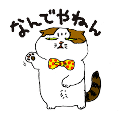 町田尚子の猫スタンプ 白木ピッピ 大阪弁 Line スタンプ Line Store
