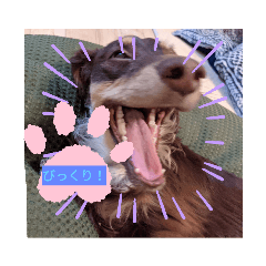 abcdefg_20220504143407