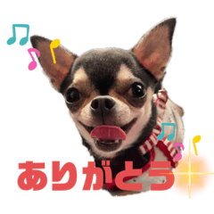 saori_20220504145010