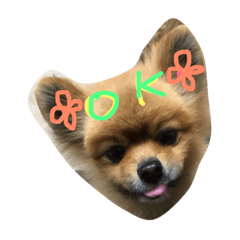 Cutiedog'sstamp