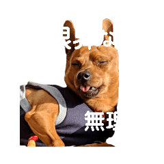 Ruby_20220504195849