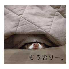 Tomomi_20220504214849