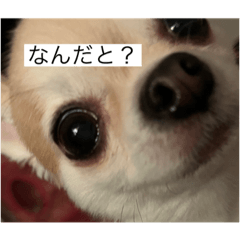 rei_20220504201423