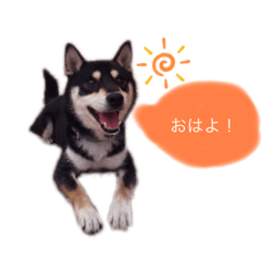 kalon_20220504193952