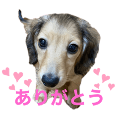 taru_20220504185128