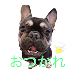 French Bulldog  Black stamp