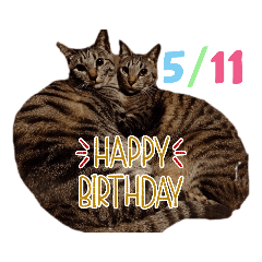 保護猫に幸あれ