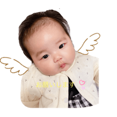 akari_0220