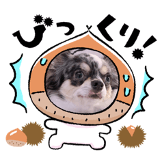 Hikaru_20220505022923