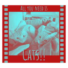 All you need is cats!