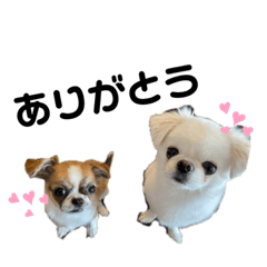 rina_20220505100822