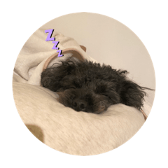 HIKARI_20220505114551