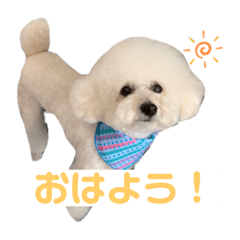 risa_20220505115735