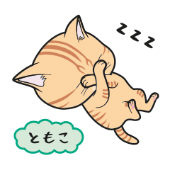 [Only for Tomoko](orange tabby)