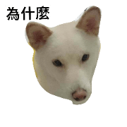 "mimi"