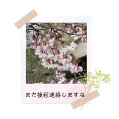 Himawari_20220505090135