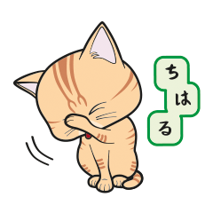 [Only for Chiharu](orange tabby)