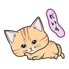 [Only for Daizu](orange tabby)