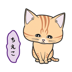 [Only for Chieko](orange tabby)