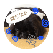 kurogoma......